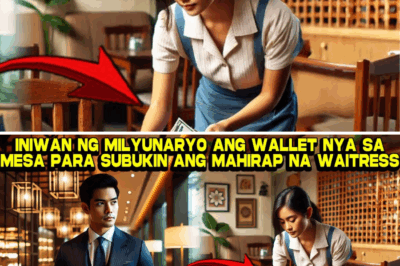 Ang Triumvirate ng Integridad: Mula Inalipustang Palaboy, Naging Tagapagmana ng Pag-ibig—Ang Kwento ni Jessa, Ang Pagsubok ng Wallet, at Ang Negosyanteng Tagapagligtas