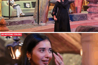 Episode 96 Drama: Tanya in Tears as She Confronts Ashnoor with Her Mother