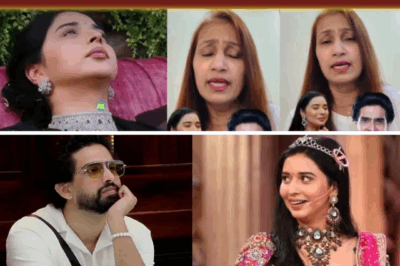 Family Drama in Bigg Boss 19 as Amaal Stands with Tanya Mittal