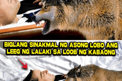 Himala sa Huling Hantungan: Paano ang ‘Pagsakmal’ ng Lobo ang Nagligtas sa Buhay ng ‘Patay’ na Matanda—Isang Kuwento ng Utang na Loob at Ikalawang Pagkakataon