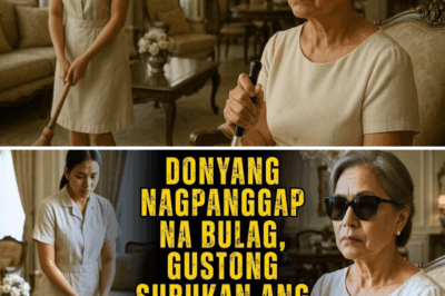Ang Lihim ng Bulag na Bilyonarya: Paanong Ang Pagpapanggap ay Nagdala sa Kanya sa Kanyang Nawawalang Apo at Tagapagmana—Isang Kuwento ng Katapatan at Pagpapatawad