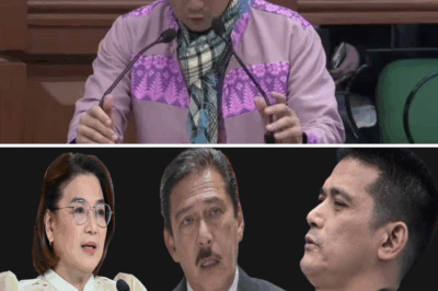 Ang Viral Fiasco sa Senado: Paanong ang Fake Voice Recording ni Senador Robin Padilla ay Nagdulot ng Embarrassing Confrontation at Political Backlash
