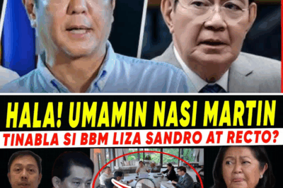 BILYUN-BILYONG KATIWALIAN: Ang Pagsabog ng Katotohanan at Ang Matinding Pagkalantad sa Unang Pamilya ng Marcos Administration