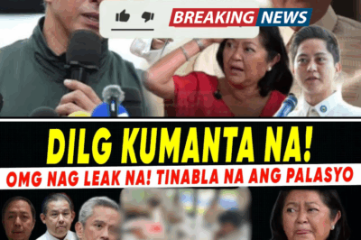SA BINGIT NG CRISIS AT KATIWALIAN: Ang Hamon ni VP Sara Duterte, Ang Drug Test Controversy, at Ang Pagdududa sa Fitness to Lead ng Pangulo