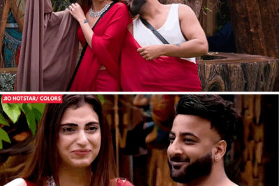 Bigg Boss 19 Drama: Romantic Chemistry Between Farrhana and Shehbaz Stuns Housemates