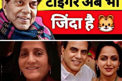 From Life-Threatening Crisis to Recovery: Dharmendra’s Health Journey Revealed