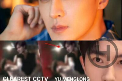 Silenced and Speculated: The Yu Menglong Case and the CCTV Footage That Shook China’s Fans (NH)