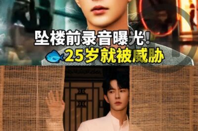 Yu Menglong’s Shocking Recording Before Fall Exposed! “Threatened at 25” — Allegations of Entertainment Industry Money Laundering Ignite International Outcry (NH)