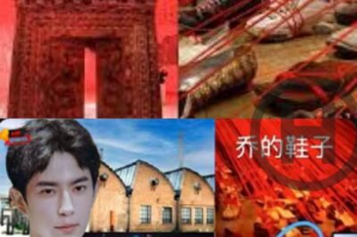 Hidden Signals Around Yu Menglong: Why 600 Shoes Shocked the Internet — Hotel, Art District, Museum (NH)