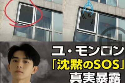 Millions Can’t Stop Watching: Yu Menglong’s Controversial Message Finally Revealed (NH)