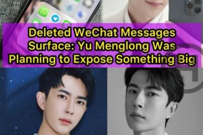 Deleted WeChat Messages Surface: Yu Menglong Was Planning to Expose Something Big (NH)