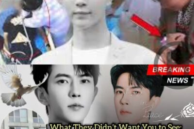 The Video They Tried to Hide: Full CCTV Footage of Yu Menglong Incident Leaked