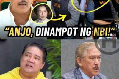 Anjo Yllana Faces Legal Case Amid Alleged Revelations About Tito and Vic Sotto’s Personal Life (NH)