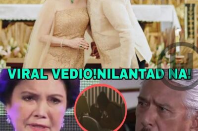 Helen Gamboa’s Emotional Revelation: Allegations of Betrayal Against Tito Sotto Shake the Public (nh)