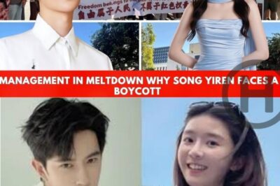 Management in Meltdown: Why Song Yiren Faces Backlash After Yu Menglong’s Passing (NH)