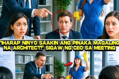 Mula sa Mop Patungong Blueprint: Ang Hindi Kapani-paniwalang Pag-angat ni Liza Manalo Mula Janitress Patungong Bigating Arkitekto