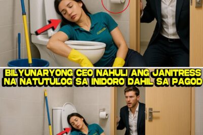 Mula sa Barong-Barong at Balde, Hanggang sa Puso ng CEO: Ang Di-Inaasahang Kwento ni Lorna Dimasalang na Nagpatunay na ang Dignidad ay Hindi Nabibili