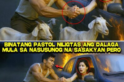 Apoy, Pagkalimot, at Lihim na Yaman: Ang Pastol ng Tanay na Nagligtas sa Nawawalang Tagapagmana ng Belmonte Holdings, Handa Labanan ang Kasakiman ng Maynila