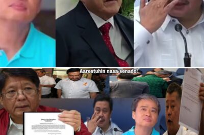 Yayanig sa Pulitika: Senators Villanueva at Estrada, Kasama ang Iba Pang Opisyal, Inirekomenda ng ICI na Kasuhan sa Bilyon-bilyong “Flood Control Kickback Scheme”
