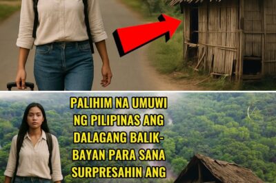 Puhunan ang Puso: Ang Lihim na Pag-uwi ng Dalagang OFW na Nauwi sa Mapait na Rebelasyon at Bagong Pag-asa