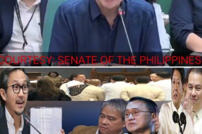 It’s the testimony everyone was waiting for, and it did not disappoint. Vince Dizon faced investigators, and the fallout is already pointing toward Senators Go and Villanueva. Is this the beginning of accountability for the trillions spent during the pandemic? Insiders suggest Dizon’s statements connect dots that were previously left unexplained. The public has been demanding answers, and this testimony might be the key to unlocking the truth.