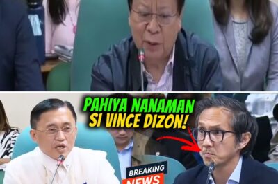 He came prepared with charts and figures, but nothing could prepare Vince Dizon for the moment Senator Bong Go stopped talking about numbers and started talking about “him.” The senator’s accusation that Dizon was a mere puppet for a “mastermind” landed like a physical blow. Witnesses say Dizon was visibly shaken, his composure shattering under the weight of the charge. What did Go mean? And why did Dizon look so rattled? The implications are terrifying.