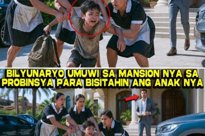 Ang Pagbabalik ng Bilyonaryo: Mansyon sa Probinsya, Isang Nawawalang Anak, at ang Pagtataksil na Yumanig sa Kanyang Imperyo