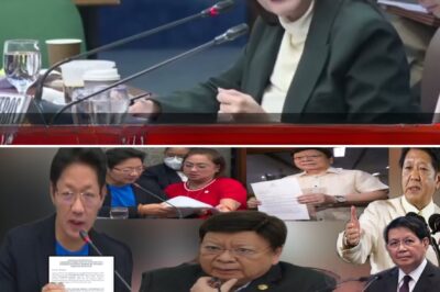 Accountability Crisis: Whistleblower Testimony Reveals Alleged Billions in Compromised Flood Control Funds, Linking Administrative Failures to Community Hazard