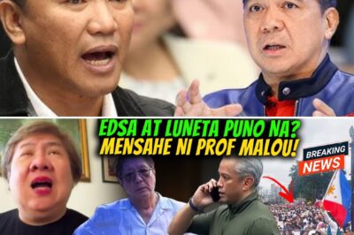 “Pack Your Bags”: Professor Malou Tiquia’s Explosive Message to Jonvic Remulla Ignites a Political Firestorm