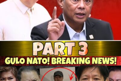 “Suitcases of Cash to the Palace”: Whistleblower Details Alleged 100B Budget Scheme, Implicates President Marcos in 25B Kickback