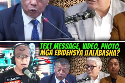 The Unshakable Truth: Star Witness Zaldy Co’s Exposé Shakes the Foundations of Philippine Governance