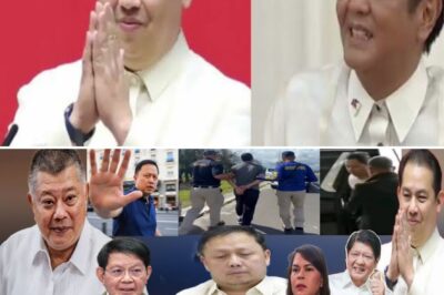 International Body Detains Zaldy Co: ‘Earth-Shaking’ Testimony Set to Rock Senate and Presidential Administration