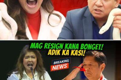 Senator Imee Marcos Makes Emotional Public Plea, Cites Brother’s Personal Struggle as Root of National Crisis