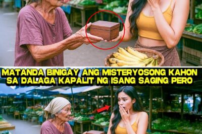 Mula sa Gilid ng Bangketa Hanggang sa Pangarap: Ang Tahimik na Paninindigan ni Lira, Ang Bayani ng Palengke