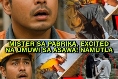 Ang Sikreto sa Likod ng Buntis at ang Pagbabagong Buhay ng OFW: Long Distance Love, Kapalit ng Matinding Sakripisyo