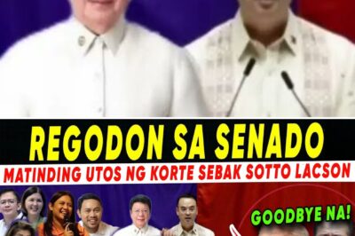 The Tectonic Shift: Why a New Senate Coup Is Brewing Over the Blue Ribbon’s ‘Unspeakable’ Truth