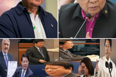 The Anonymity Defense: Senator’s P100M Undeclared Campaign Funds and Net Worth Discrepancy Ignite National Legal Firestorm