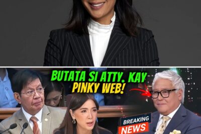 The Empty Chair: Lawyer’s ‘Untouchable’ Tactic for Zaldy Co Sparks National Outrage Amidst Trillion-Peso Flood Scandal
