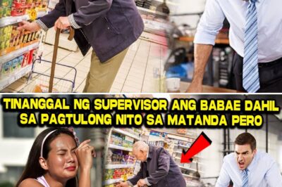 Kabutihan Vs. Arogansya: Ang Nakakagulat na Pagbabago sa Buhay ng Isang Empleyado Matapos ang Walang-Awa na Pagsibak