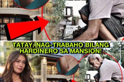 Puso at Sumpa: Ang Makabagbag-Damdaming Paglalakbay ni Ronnie Patungo sa Kalayaan at Pamilya