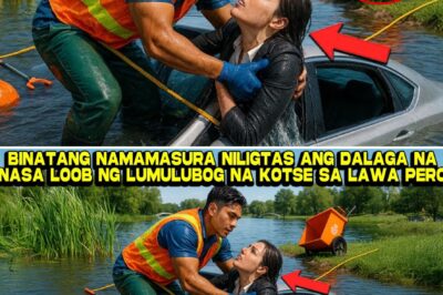 Mula Basura Tungo sa Bago: Ang Di-Inaasahang Pagbangon ni Elias Cruz Matapos Iligtas ang Herederang Nakatagpo ng Panganib sa Lawa ng Malatar