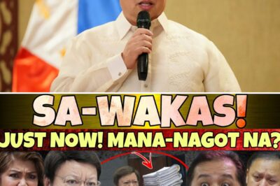Mabigat na pasanin ang hatid ng Ombudsman na posibleng papanagutin si dating Speaker Romualdez, kasabay ng akusadong si Zaldico, dahil sa ‘gross inexcusable negligence’ sa pagtatalaga. Isipin mo, sa gitna ng bilyon-bilyong anomalya sa flood control, hindi lang ang mismong sangkot ang haharap sa kaso, kundi pati ang naglagay sa kanya sa puwesto!