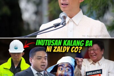 The legal battle is heating up as the House of Representatives decided to summon key agencies, including the DBM and DENR, to clarify the source and rationale of the P389 million expenditure.