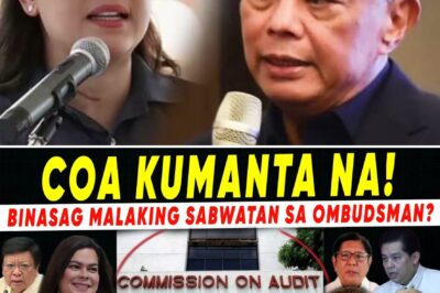 The Anatomy of a Political Firestorm: COA Clears OVP as Public Scrutiny Shifts to the Ombudsman and Flood Control Billions