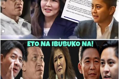 Usap-usapan ang Pagkainit ng Isyu: Ano ang Totoo sa Umano’y “B4DTR!P” ni Sandro kay Imee at ang Balitang Pagtakbo Nito sa VP?