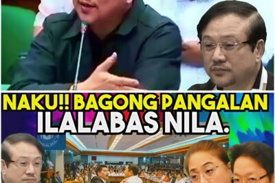 Mas Malaking Pangalan, Nadawit Umano sa Isyu ng Bilyong Piso: Senado Nagulat sa Bagong Rebelasyon