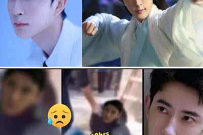 The Shocking Truth Behind the Yu Meng Long Leaks: Secret Recordings and Hidden Files Finally Reveal the Dark Reality That Was Hidden for Years