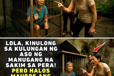 LOLA KINULONG SA KULUNGAN NG ASO NG MANUGANG NA SAKIM SA PERA, UBOS ANG LUHA NILA SA GANTI NG ANAK!