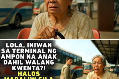 LOLA, INIWAN SA TERMINAL NG AMPON NA ANAK, HINDI NILA INAASAHAN ANG 15 HACIENDANG PAG AARI NITO!