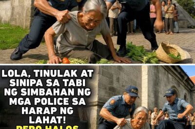 LOLA TINULAK AT SINIPA SA SIMBAHAN NG MGA POLICE, LAHAT NANGATOG SA TAKOT SA GINAWA NG ANAK NIYA!